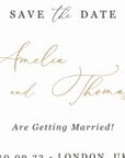 ANTEA Blush & Navy Animated Save the Date Video Template