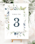 BIANCA Winter Wedding Table Numbers Printable