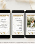 Boarding Pass Wedding Invitation Video Template