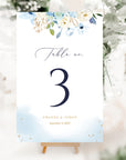 AZZURRA Printable Table Numbers for Wedding
