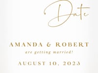 Anita White & Gold Save the Date Video Template