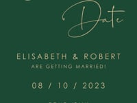 Anita Emerald & Gold Save the Date Video Template