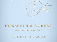 Anita Dusty Blue & Gold Save the Date Video Template