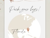 Rose Gold Boarding Pass Save the Date Video Template