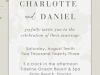 Rose Gold Boarding Pass Wedding Invitation Video Template