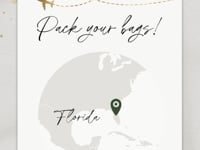 Sage Green Boarding Pass Wedding Invitation Video Template