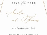 ANTEA Sage Green & Blush Save the Date Video Template