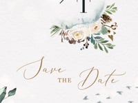 NEVE Winter Save the Date Video Template