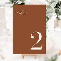 SIENNA Terracotta Table Numbers Wedding Printable
