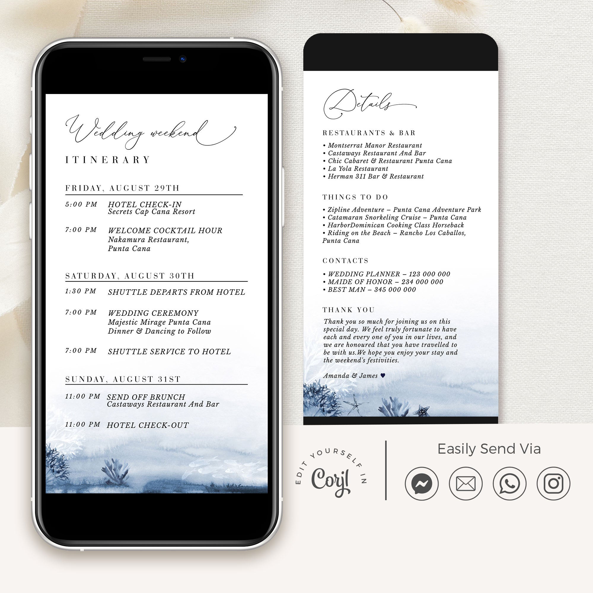 ALYSSA Digital Wedding Wedding Day Schedule Timeline
