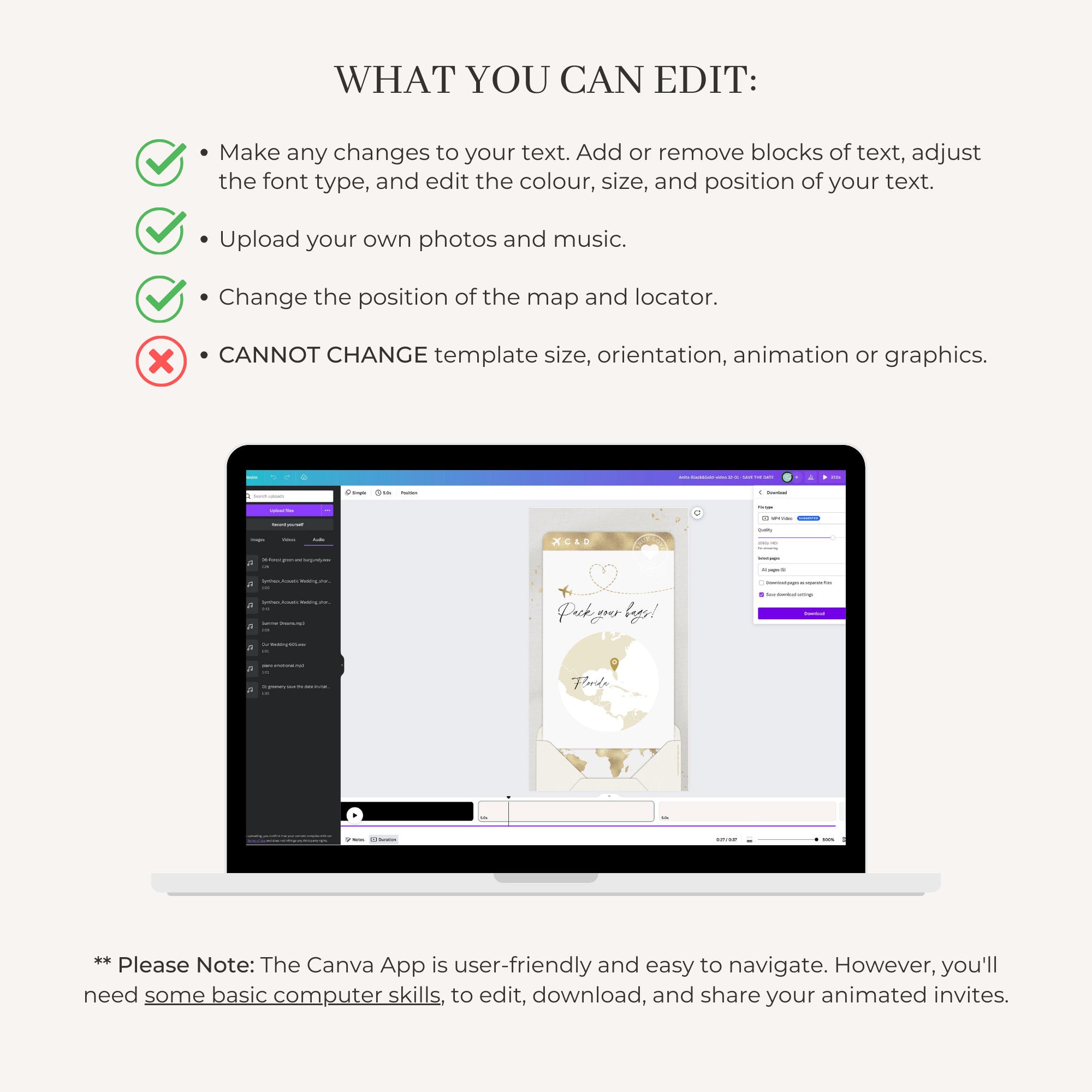 Boarding Pass Wedding Invitation Video Template